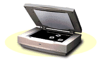 scanner2.gif (6544 bytes)